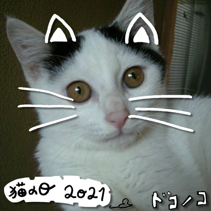 F693864f 1a5e 499f a824 4da955ade662 1613972922116