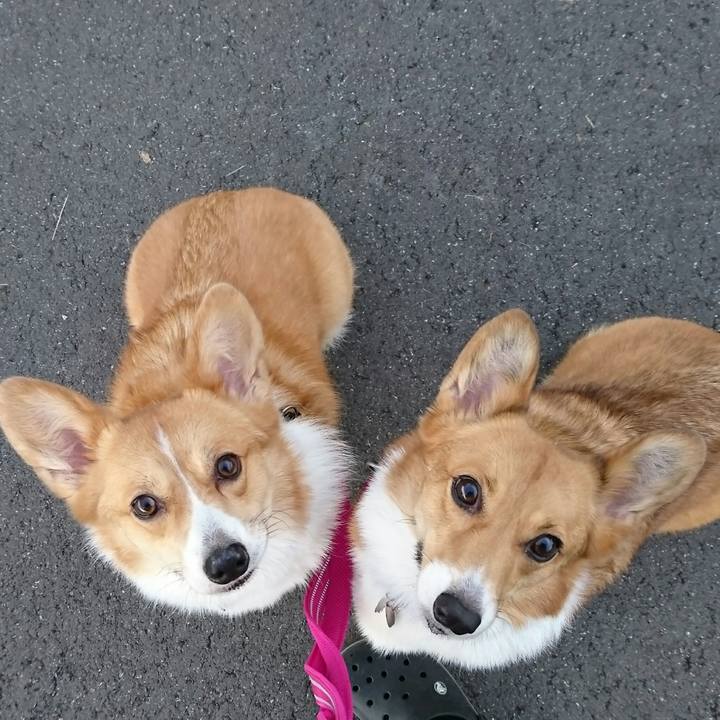 F6938799 9d1c 42d1 8f1f 6bee49355393 1508799425298