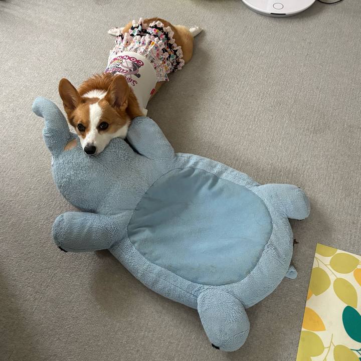 F693ad4e ec36 4bd3 bfa6 d813931ad1f2 1759807568226