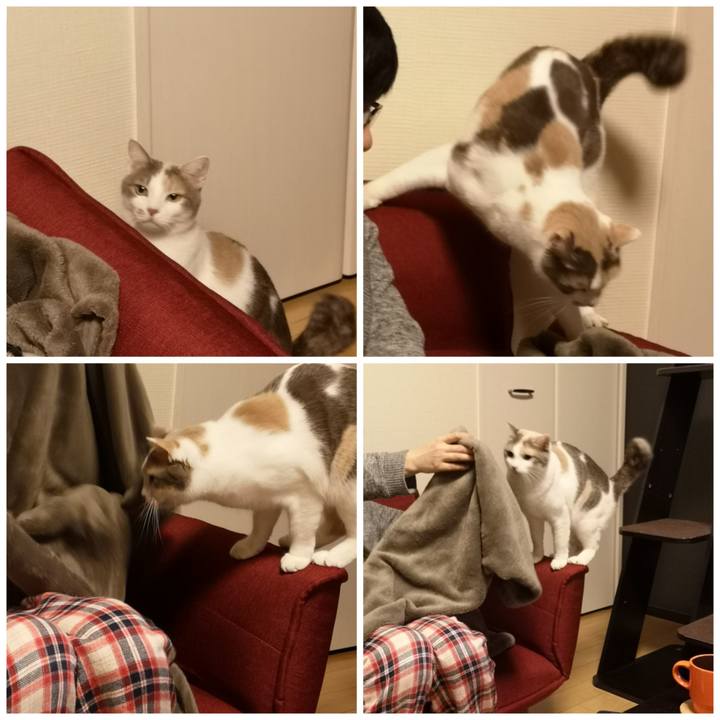 F693ca09 4399 4655 bc9d 821b27b438b8 1580357864665