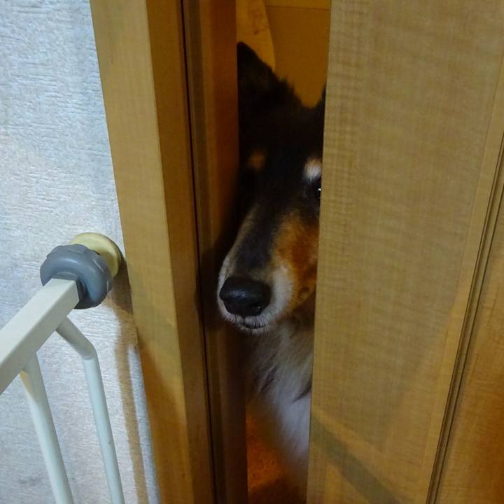 F693d4dc 6149 4018 8d80 c1e4da9c544f 1578399880985