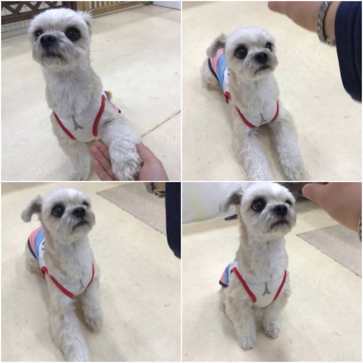 F693e3db 14ba 424d a1c5 f086c17fa25a 1557918842606