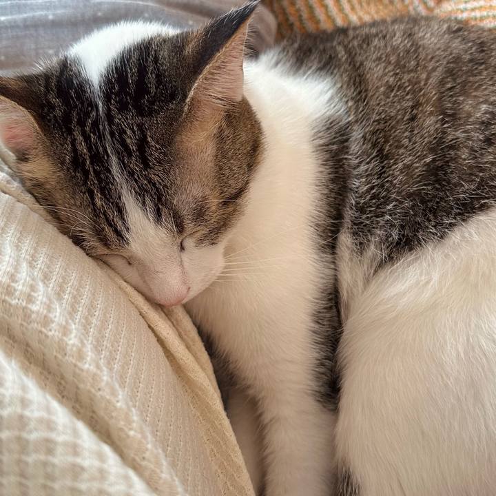 F693eefa 6610 4448 ae6d ca49e1372107 1775975815880