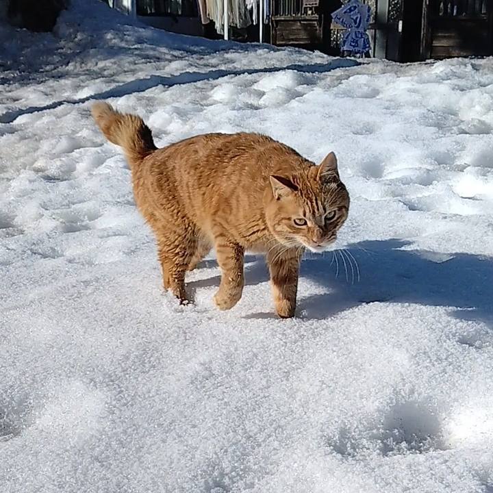 F6945698 8945 439b 8e15 13b21288144a 1674105257247