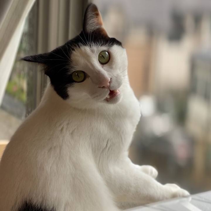 F6946948 6b20 4231 b139 ad8d0cf4d5d6 1618568830471