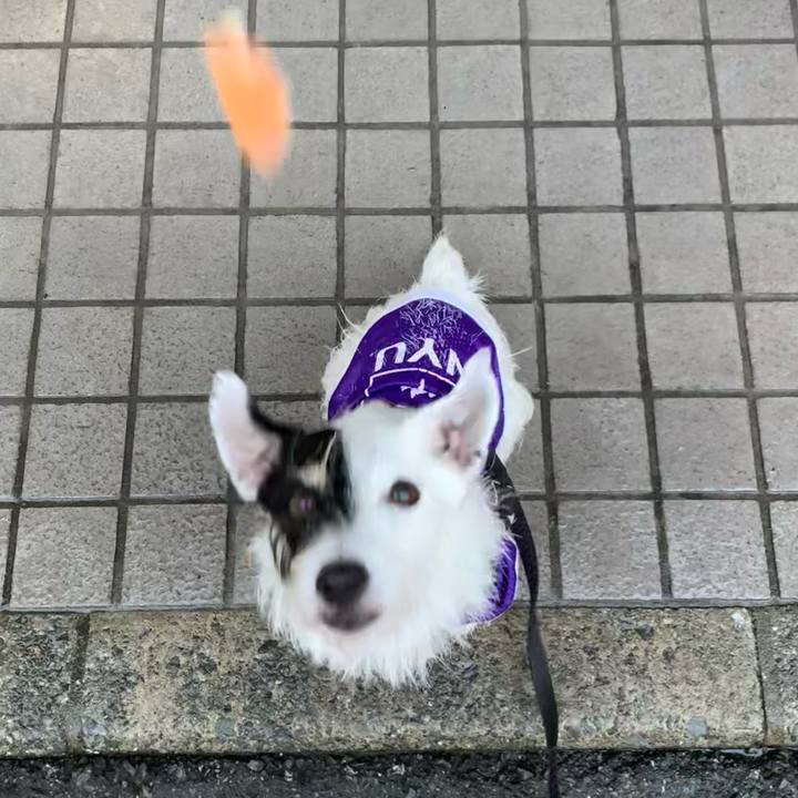 F6946b29 cc85 4434 a31b 315fca9331cd 1729670765521