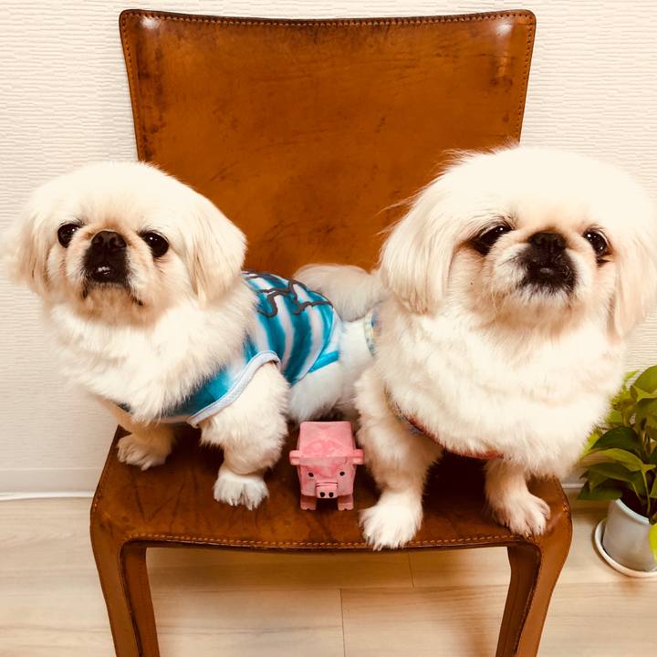 F6948c00 029d 4774 aa74 ab46d94ebb86 1560351208647