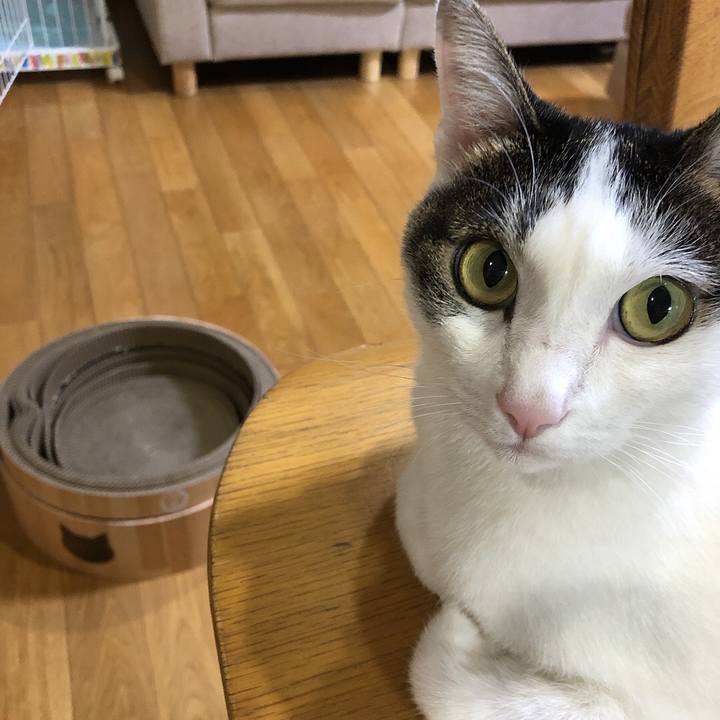 F694aa43 8afe 4c22 b4b9 db9a25424b17 1695379989550