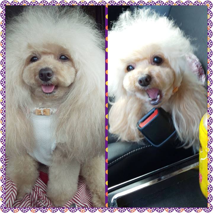 F694ad64 10ef 445c 8ca8 07f8f0924ec4 1635742400150