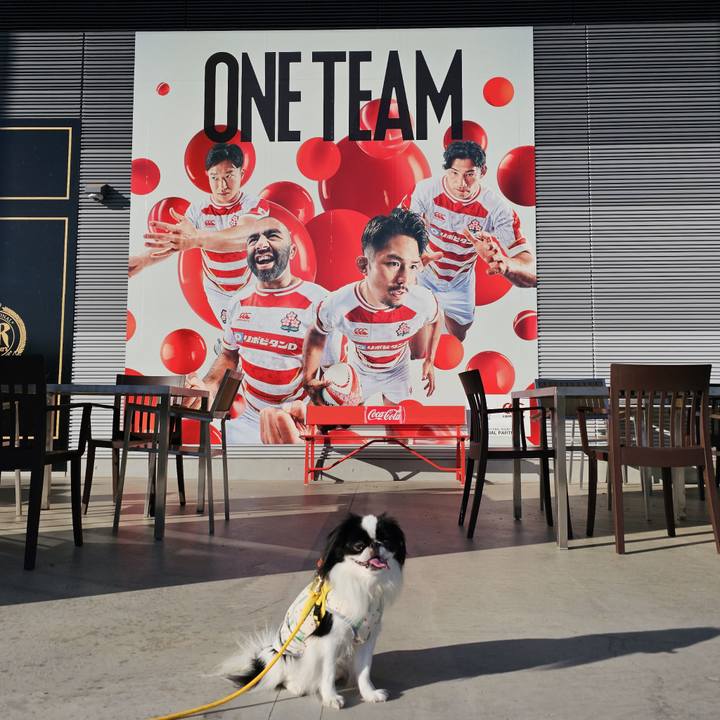 F694ba35 7c3d 4ad4 8c36 26084a40d8d4 1699442871866