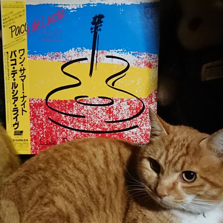 F694d219 5f90 4aeb 9e79 d4f13fe9e3b0 1607854530717