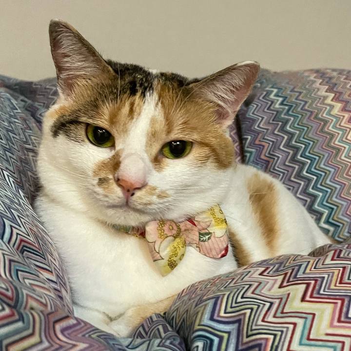 F6954818 b255 427d b749 d65b2ac68363 1628515041546