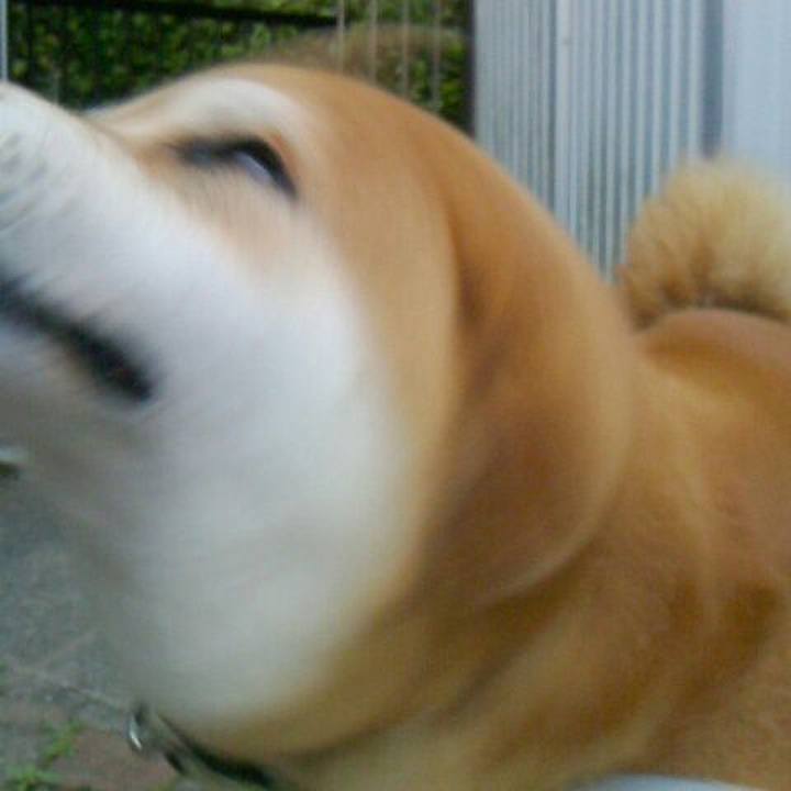 F69559af 0049 44d5 97f9 749bd8fa1fc0 1527925212424