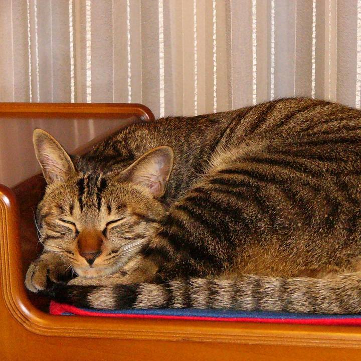 F6957093 d895 449e 8d65 150d737a9d6c 1630926179011