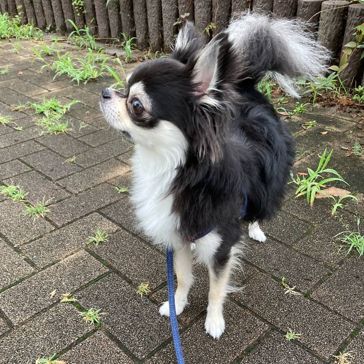 F6959058 419d 4312 b328 2ea8a126129b 1658067601441