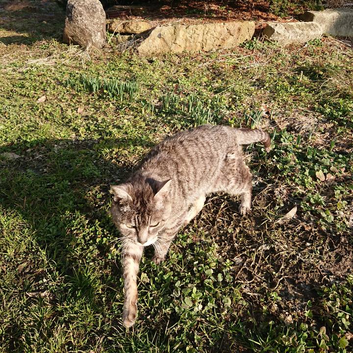 F695aa60 288d 4454 a9db f1dba5e0f7b7 1582960299289