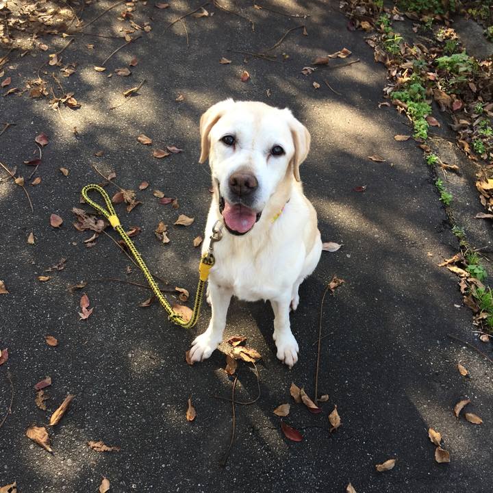 F695c9b6 4de1 4d86 8905 5d211aca17f4 1542513046639