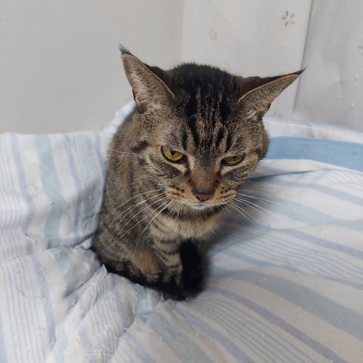 F69606e6 0ffd 499e 81d4 145d0578cd11 1636666885415