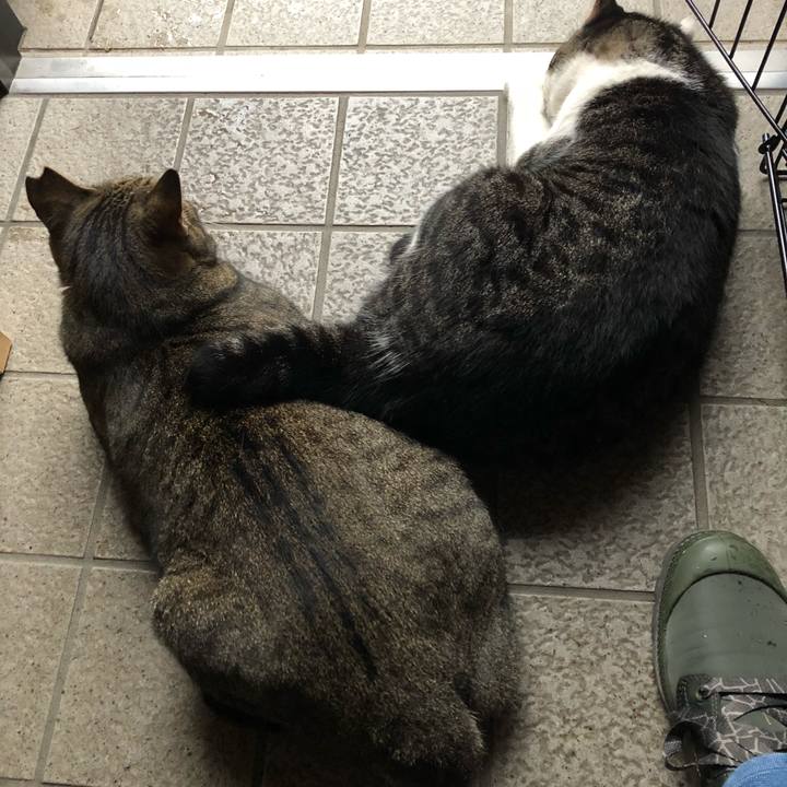 F6964576 a0a6 4c2a 80d2 1b8ce8f1a177 1536590777625