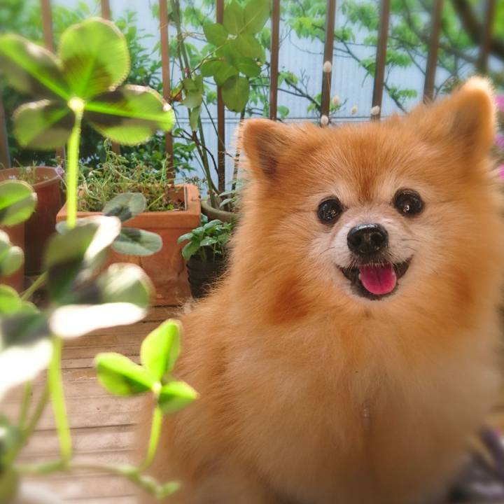 F696841b 8cfb 4579 a25b a5d13e2e3264 1586385615299