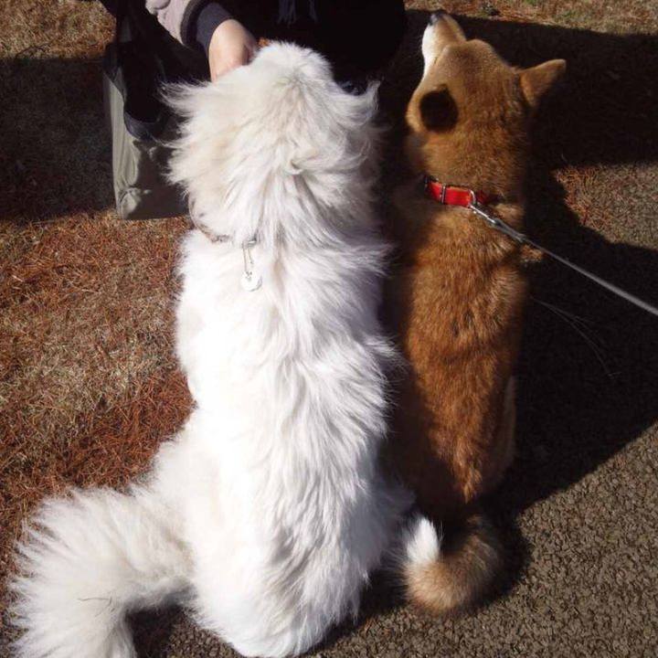 F696969e 70fd 4310 a72c 1cd4cedd4698 1677441755364