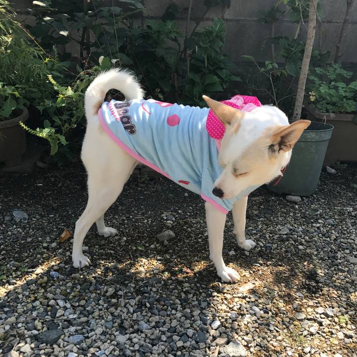 F6969a5c 9267 4659 8f57 12cc0c87f558 1540727088487