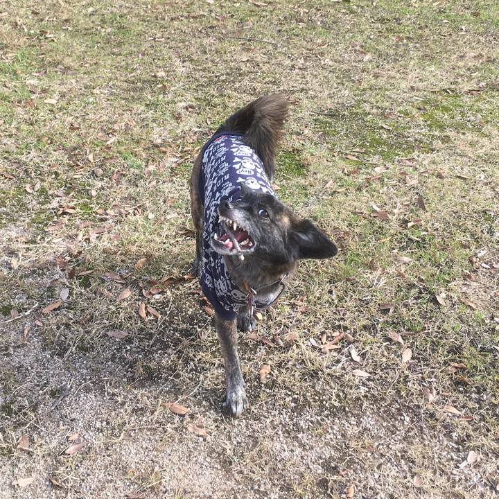 F696afee 0b0c 4c67 9c7c 1c329a9a0989 1544660987909