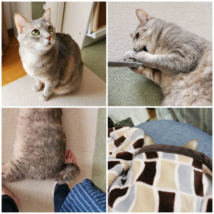 F696b3eb e898 4739 a6a6 3ecdb99bd147 1648908958075