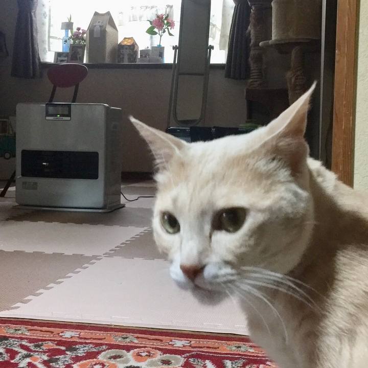 F696bd70 640f 479d a65b aef8ac292eae 1552287199822