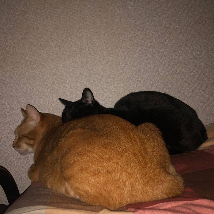 F696f3a7 24ef 4730 b512 aef6072f6ca9 1667073744303