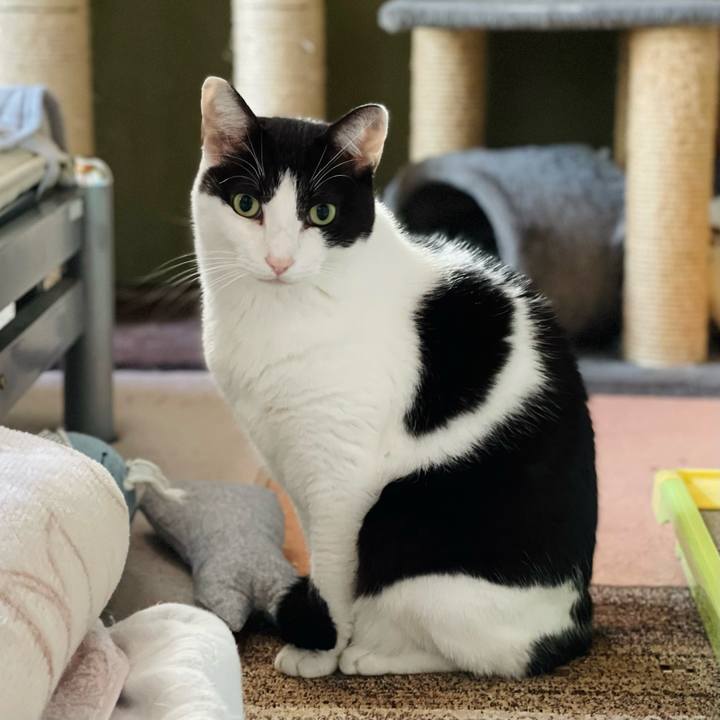 F6972a5d 0e79 4948 a5c3 5b98f242dd62 1638326478330