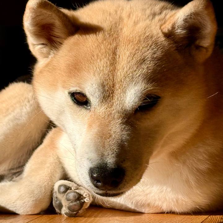 F697498e 11ce 4e7d 8b0d 58155542d794 1769733926335