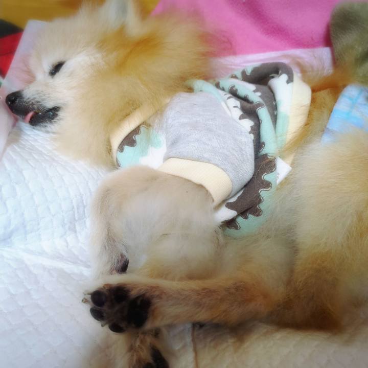 F6974cc7 69ef 4e7f ab5c d5aba23c28e4 1731622690353