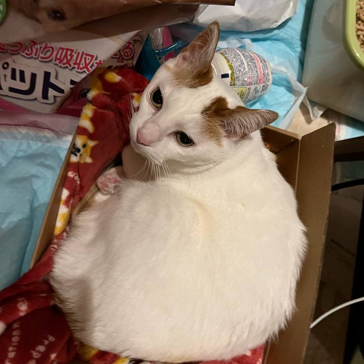 F6976a76 98af 4a02 9d74 041cbf93dd32 1772031942954