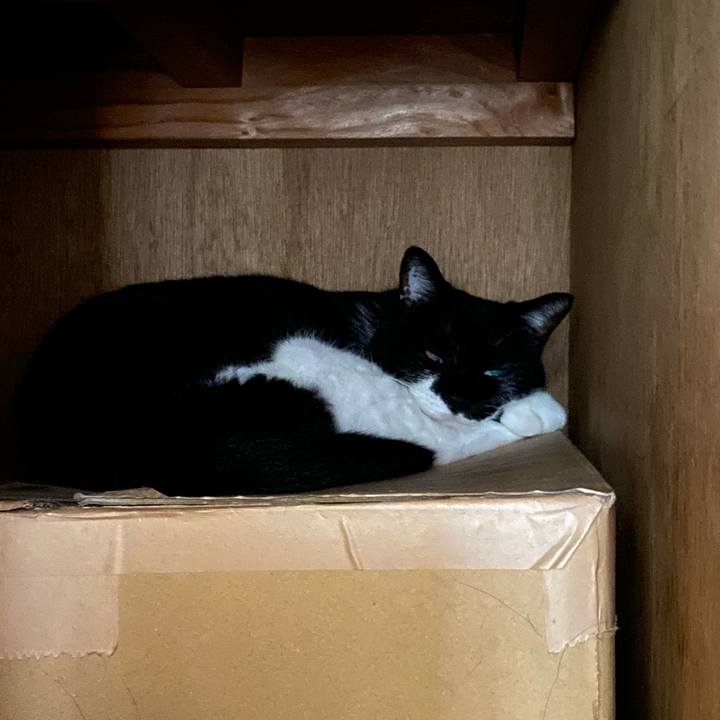 F6979de7 46b4 4317 8e14 6fa1b7df4b87 1659371105464