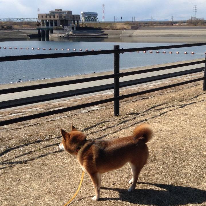 F697de98 5d0f 43d7 9169 957cc60375c3 1518074704247