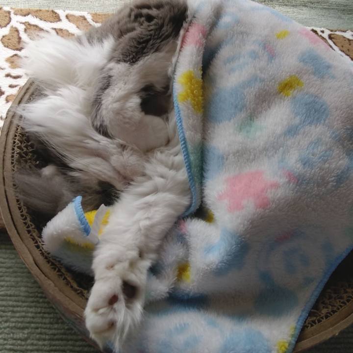 F698145d 095c 460b 975a aa745cc8ded0 1619858003024