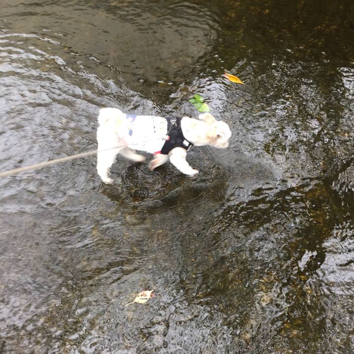 F6981993 4eef 437e bcb4 e6588dc5ae9f 1538288733191