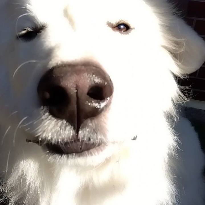 F698337b 363a 4cff a389 415a73b4fad1 1673394181194