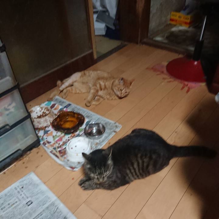 F6987dbe c596 445d 99c1 6ebf06b919c9 1655379013057