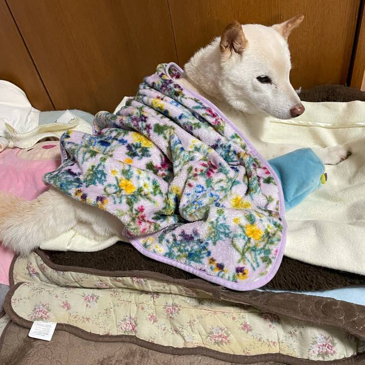 F6988160 bda2 453b 8cc5 6df7bde076ee 1635322244069