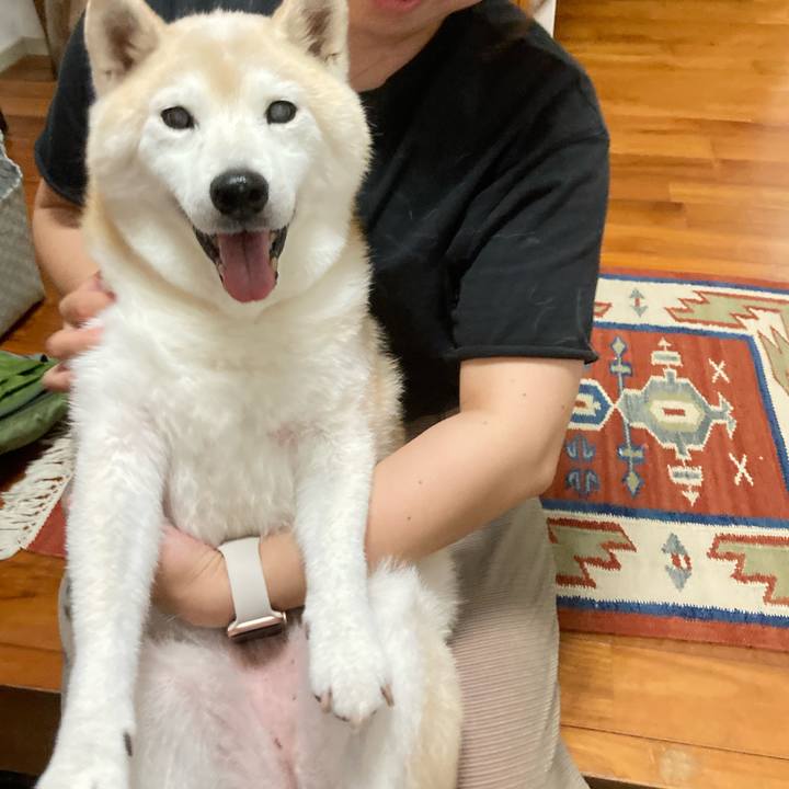 F6988eab 0c38 4426 b504 efe6002022bd 1730646930875