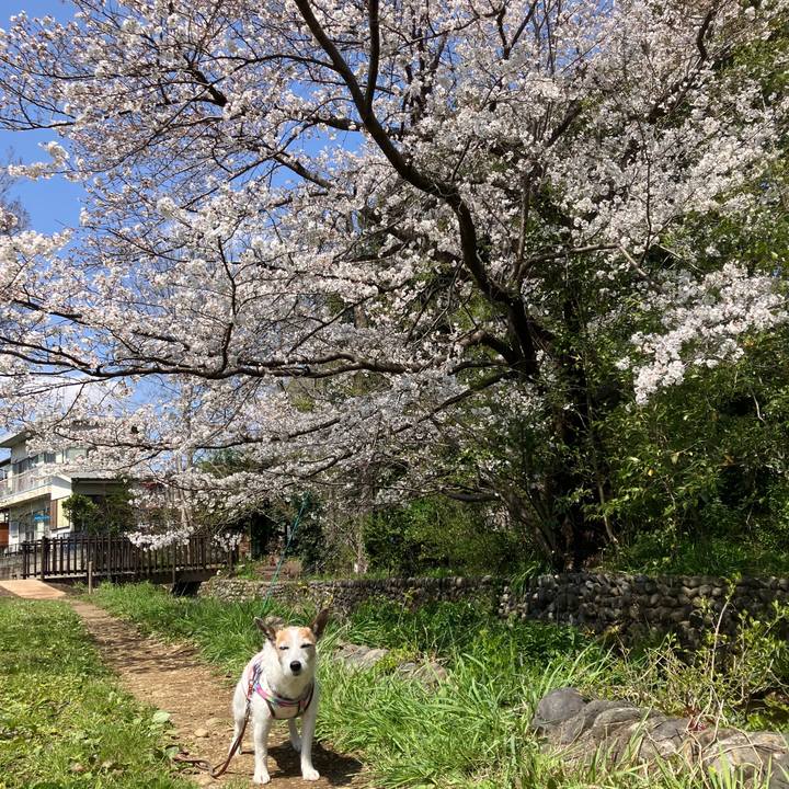 F698ab22 0253 4c0c af92 9eeee72c0753 1744068008911