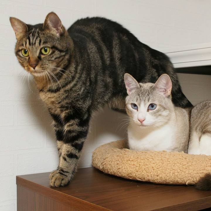 F698c1ff 5687 4dce aa93 3d1d6c18fba2 1542878302435