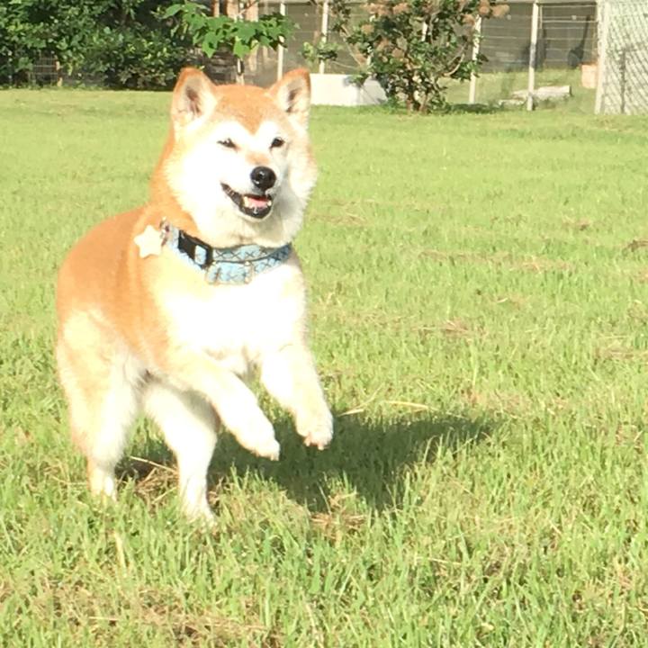 F698db24 7667 4f45 968f e3e9466d08eb 1523492410647