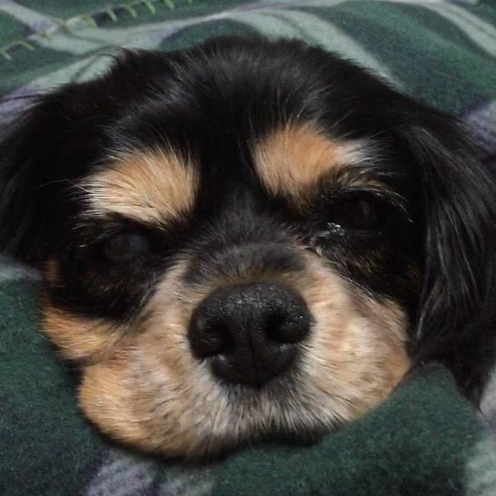 F699059b acc8 45ba 9a1d 254ec8d07394 1575898329104