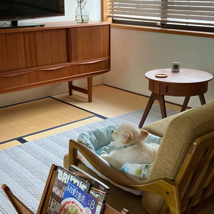 F6995ec7 e937 4412 9bd0 21dd29b0e07d 1629155689431