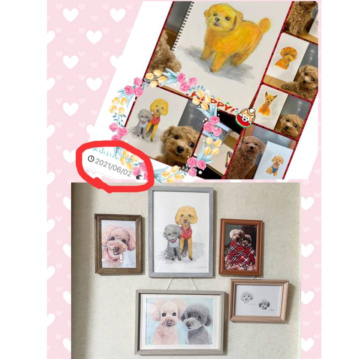 F699a2c7 7113 4a11 89dc 260a61a13980 1685868739333