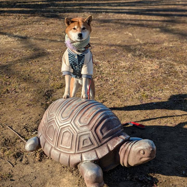 F699b5d6 a227 47cd 96af b942e4cdc165 1737215178246