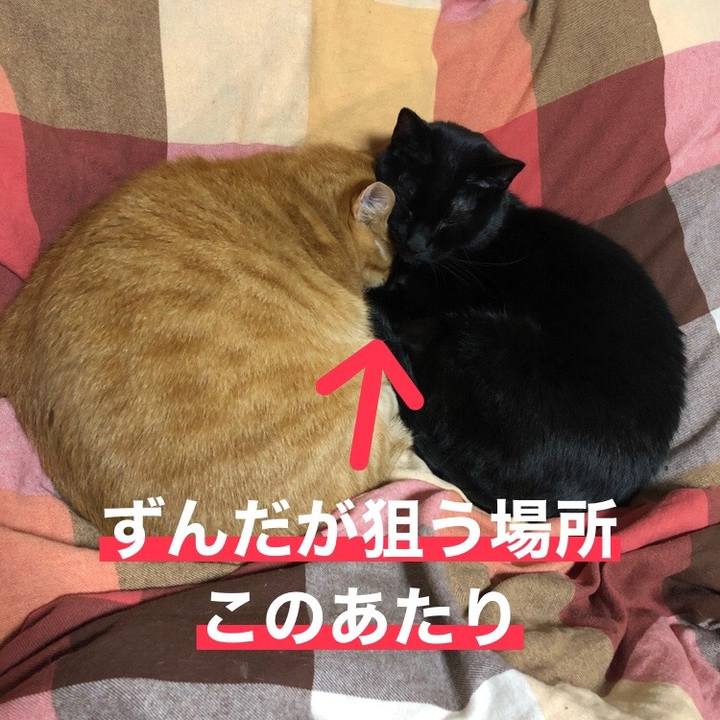 F699e0f1 dc73 4506 80d7 1c26bbf86e34 1731838900391